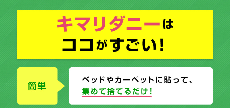 キマリダニーはココがすごい！