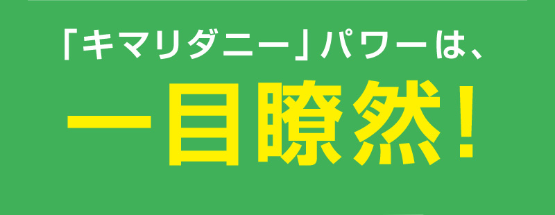 「キマリダニー」パワーは一目瞭然