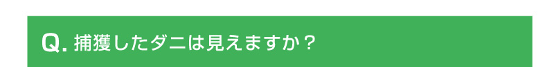 捕獲したダニは見えますか？